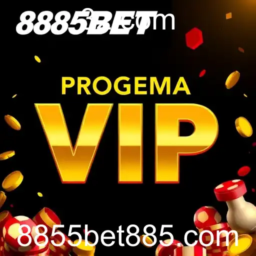 Experimente o Melhor com o Programa VIP do 8855BET